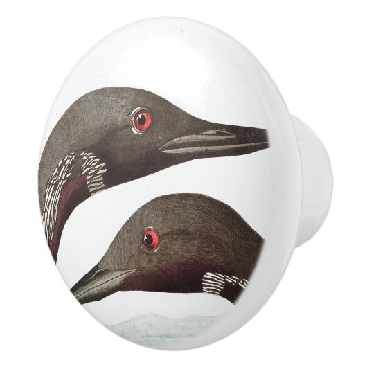 Bouton d'animal de faune d'oiseaux de dingue (Droite)