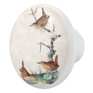 Bouton d'animaux de faune d'oiseaux de roitelet