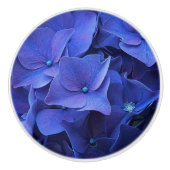 Bouton de bleu de Newport (Devant)