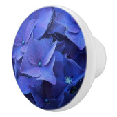 Bouton de bleu de Newport (Droite)