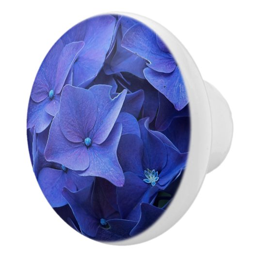 Bouton de bleu de Newport (Droite)