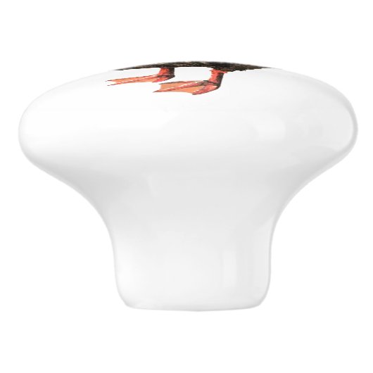 Bouton de canard (Côté)