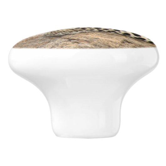 Bouton de céramique Leopard, à droite (Tirer pour (Côté)