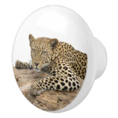 Bouton de céramique Leopard, à droite (Tirer pour (Droite)