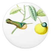 Bouton de fruit d'animaux de faune d'oiseau de (Devant)