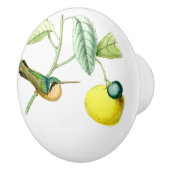 Bouton de fruit d'animaux de faune d'oiseau de (Droite)