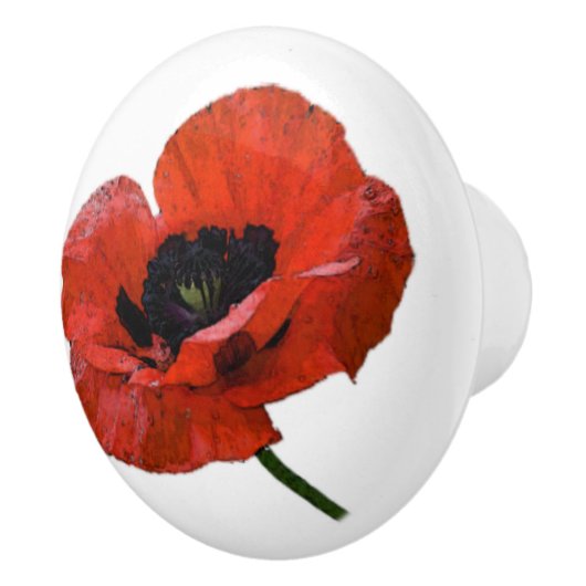 bouton de pavot (Droite)