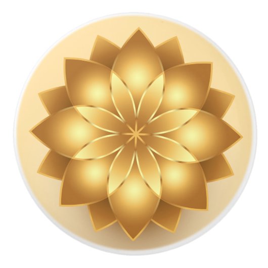 Bouton de porte (Devant)