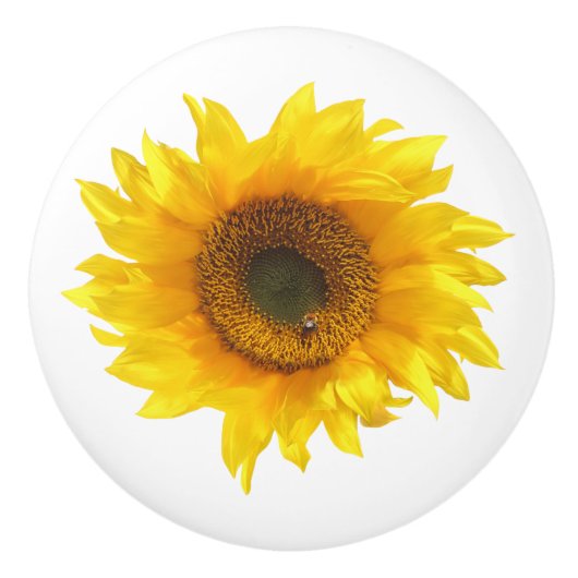 bouton de porte de tournesol jaune (Devant)