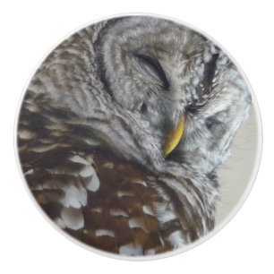 Bouton de porte en céramique