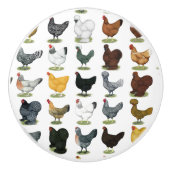 Bouton De Porte En Céramique 49 poules de poulet (Devant)
