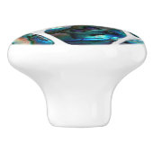 Bouton De Porte En Céramique Abalone Shell Texture - Collage de cellules N1 (Côté)