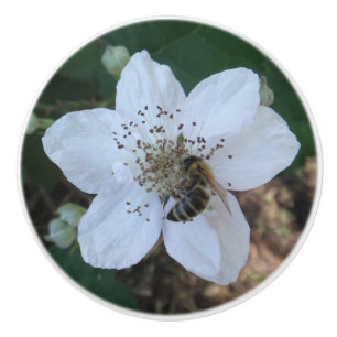 Bouton De Porte En Céramique Abeille à miel sur fleur de ronce