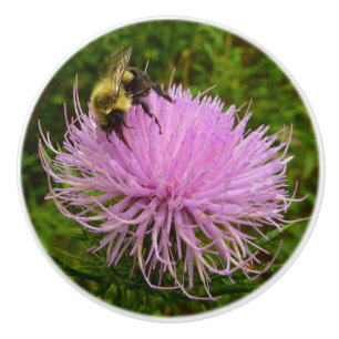 Bouton De Porte En Céramique Abeille sur la nature de la fleur de chardon