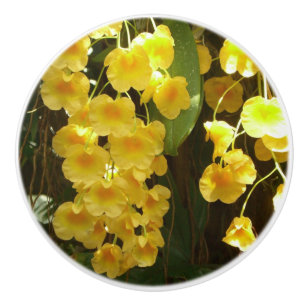 Bouton De Porte En Céramique Accrocher les orchidées jaunes Fleurs tropicales