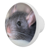 Bouton De Porte En Céramique Adorable (Droite)