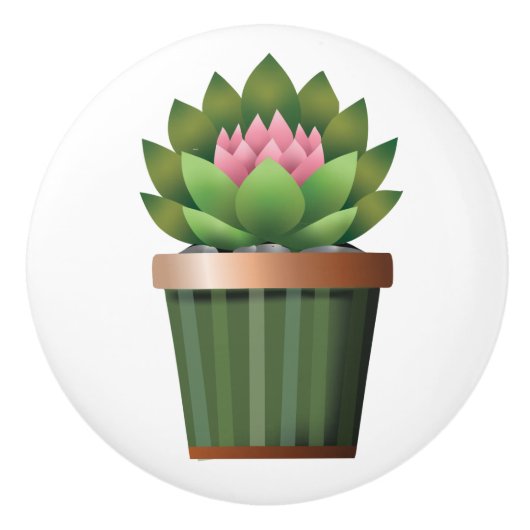 Bouton De Porte En Céramique Aéonium (Devant)