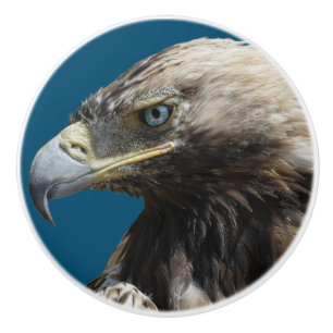 Bouton De Porte En Céramique Aigle