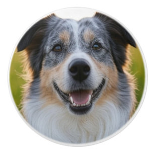 Bouton De Porte En Céramique Ajouter une Personnaliser photo pour animaux domes