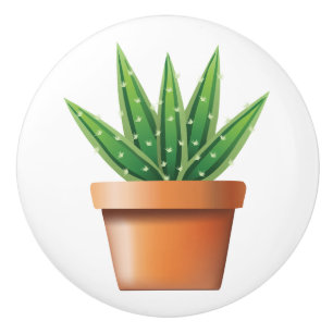 Bouton De Porte En Céramique Aloe Vera