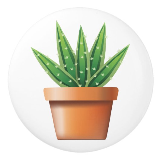 Bouton De Porte En Céramique Aloe Vera (Devant)