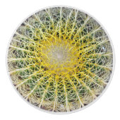Bouton De Porte En Céramique Amusant Cactus Arid (Devant)