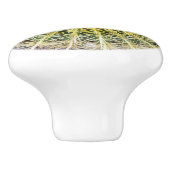 Bouton De Porte En Céramique Amusant Cactus Arid (Côté)
