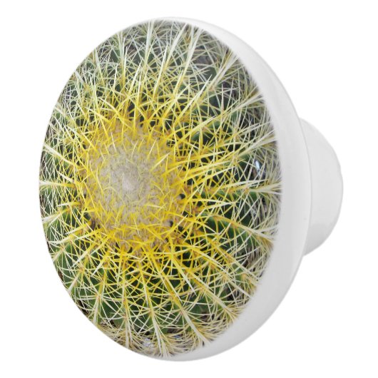 Bouton De Porte En Céramique Amusant Cactus Arid (Droite)