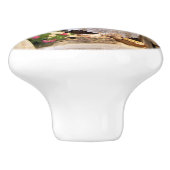 BOUTON DE PORTE EN CÉRAMIQUE ANGLETERRE VICTORIENNE (Côté)