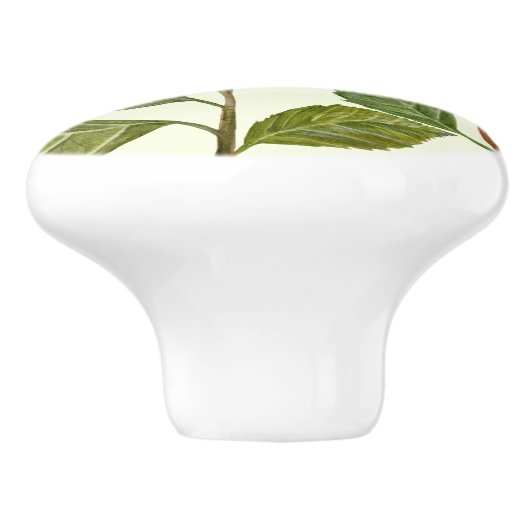 Bouton De Porte En Céramique Aquarelle rose Hydrangea Lacecaps Motif (Côté)