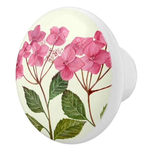 Bouton De Porte En Céramique Aquarelle rose Hydrangea Lacecaps Motif (Droite)