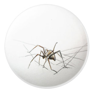 Bouton De Porte En Céramique Araignée