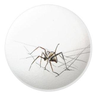 Bouton De Porte En Céramique Araignée