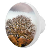 BOUTON DE PORTE EN CÉRAMIQUE ARBRE D'HIVER (Droite)