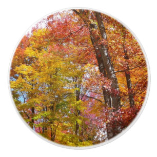 Bouton De Porte En Céramique Arbres d'automne orange et jaune Photographie d'au