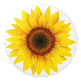 Bouton De Porte En Céramique Armoire céramique Knob-Sunflower