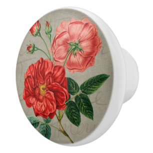 Bouton De Porte En Céramique Art de rose rouge antique sur gris