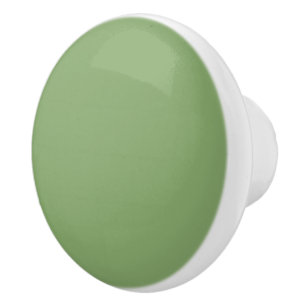 Bouton De Porte En Céramique asperges de couleur