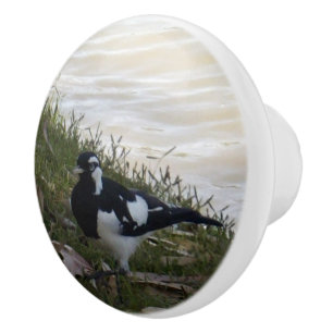 Bouton De Porte En Céramique Australien Murray Mapie Bird,