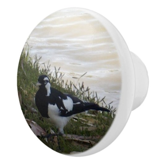 Bouton De Porte En Céramique Australien Murray Mapie Bird, (Droite)
