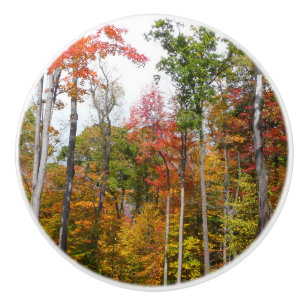 Bouton De Porte En Céramique Automne dans la forêt Colorée Photographie d'autom