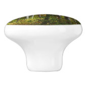 Bouton De Porte En Céramique Automne Forêt I Automne Paysage Photographie (Côté)