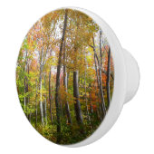 Bouton De Porte En Céramique Automne Forêt I Automne Paysage Photographie (Droite)