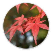 Bouton De Porte En Céramique Autumn Leaves Ceramic Knob (Devant)