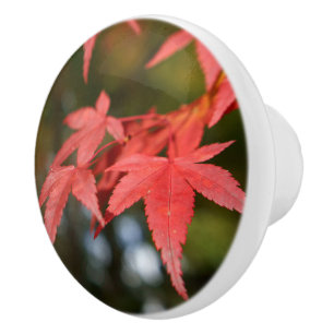 Bouton De Porte En Céramique Autumn Leaves Ceramic Knob