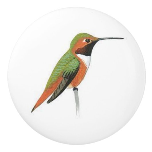 Bouton de porte en céramique avec un colibri (Devant)