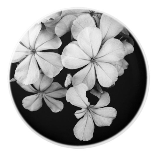 Bouton De Porte En Céramique B&W Fleurs élégantes (Devant)