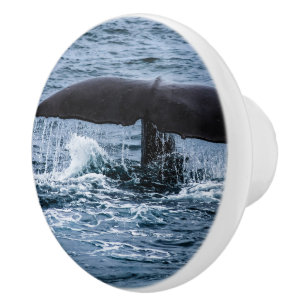 Bouton De Porte En Céramique Baleine de Sperm