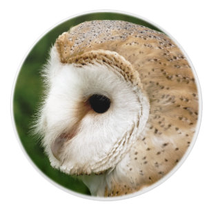 BOUTON DE PORTE EN CÉRAMIQUE BARN OWLS