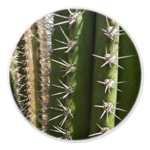 Bouton De Porte En Céramique Barrel Cactus II Désert Nature Photo